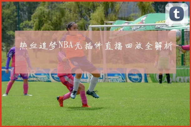 热血追梦NBA无插件直播回放全解析