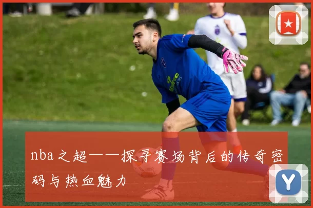 nba之超——探寻赛场背后的传奇密码与热血魅力