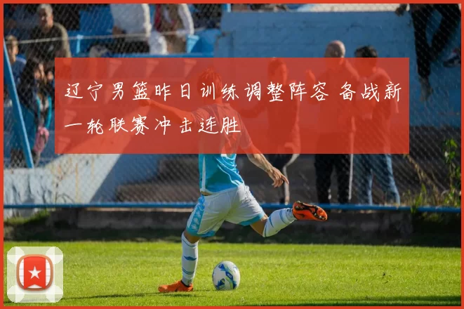 辽宁男篮昨日训练调整阵容 备战新一轮联赛冲击连胜