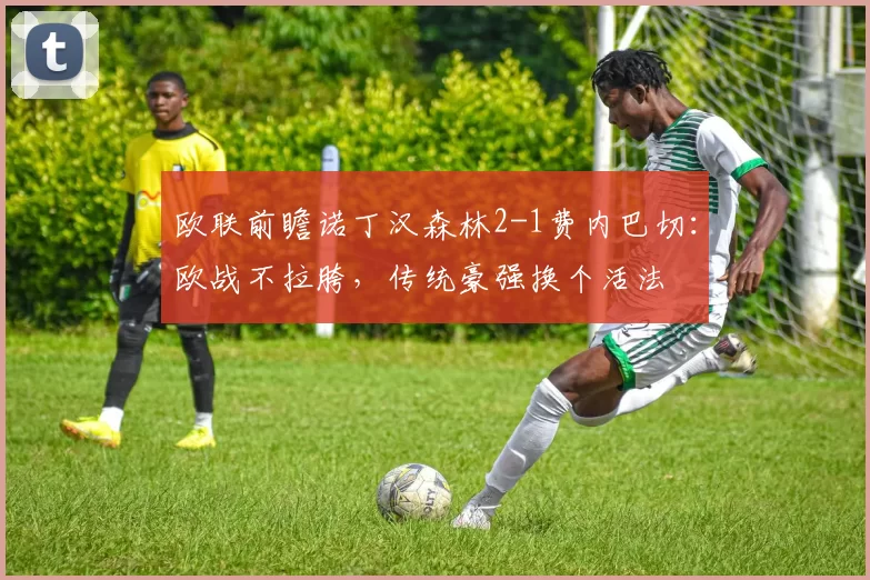 欧联前瞻诺丁汉森林2-1费内巴切：欧战不拉胯，传统豪强换个活法