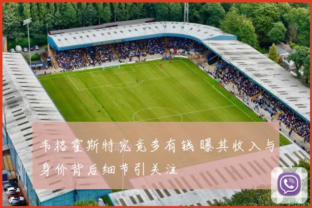 韦格霍斯特究竟多有钱 曝其收入与身价背后细节引关注
