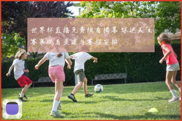 世界杯直播免费线看揭幕 球迷关注赛事观看渠道与赛程安排