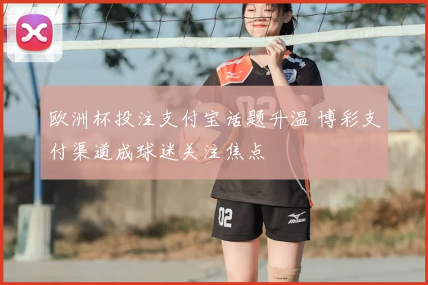 欧洲杯投注支付宝话题升温 博彩支付渠道成球迷关注焦点