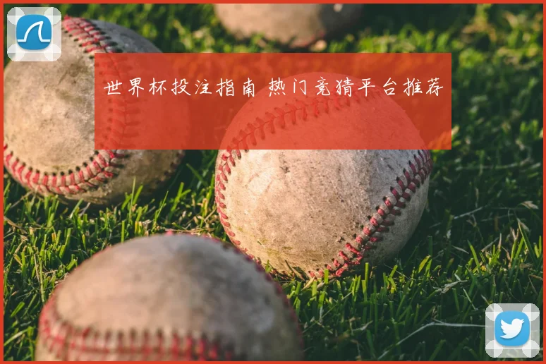 世界杯投注指南 热门竞猜平台推荐
