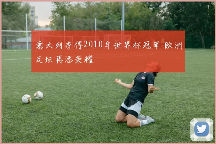 意大利夺得2010年世界杯冠军 欧洲足坛再添荣耀